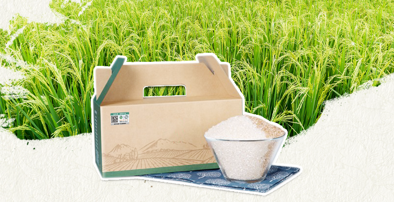 食以安为先 | 欧希蒂认证携手易溯科技，构建一物一码食品溯源系统